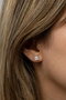 Heliophilia Silver Pendientes de Plata de Ley 925 con Circón